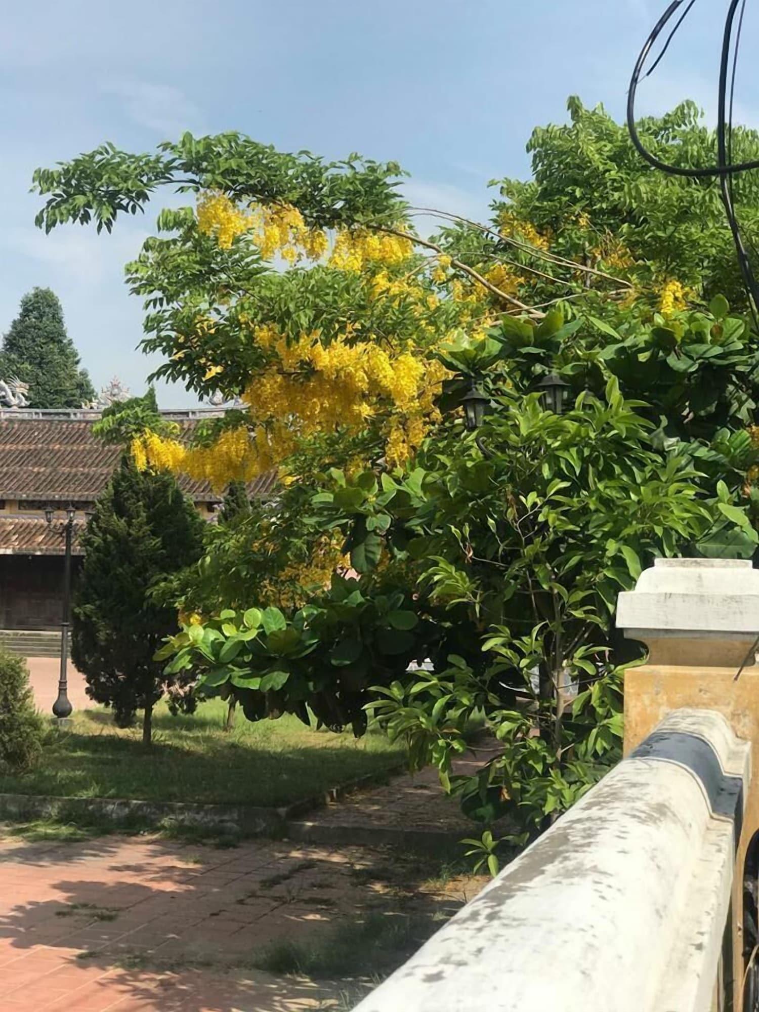 Champa Hoi An Villas Zewnętrze zdjęcie